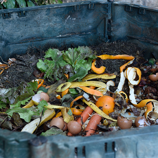  73_9282_03Mar2020100846_Inside a composting bin.jpg